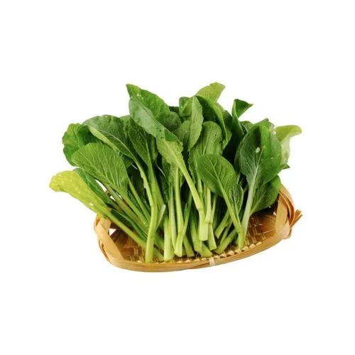 菜心苗