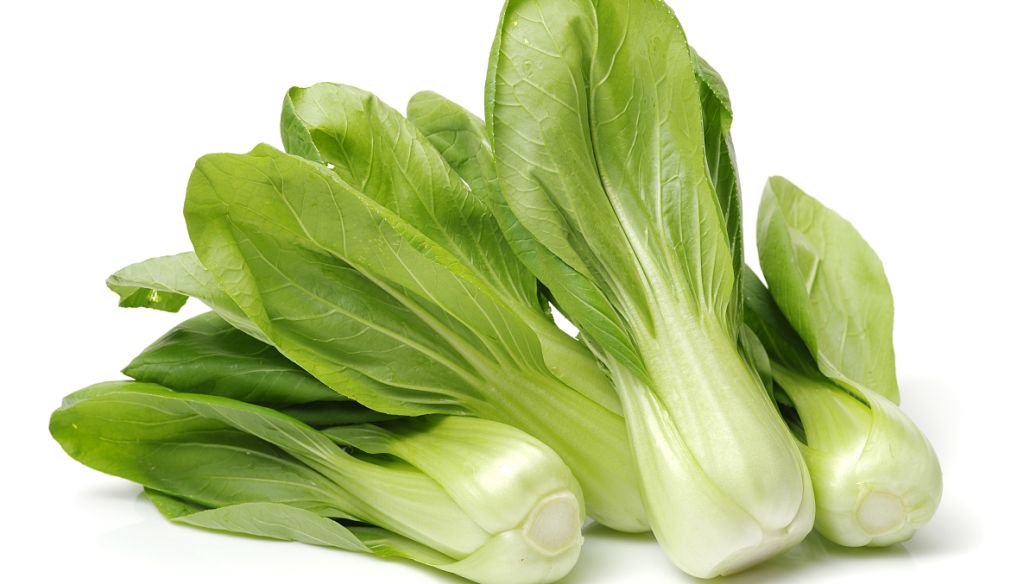 長白菜