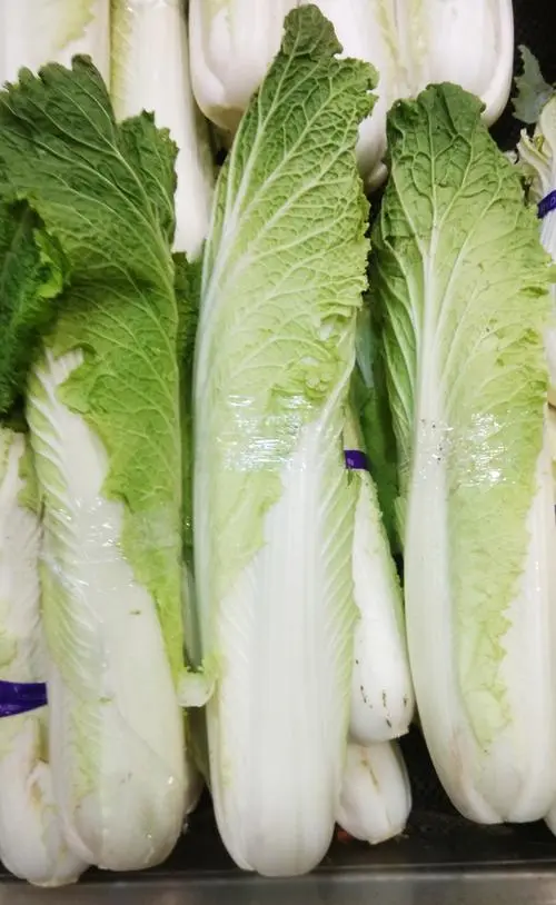 長白菜