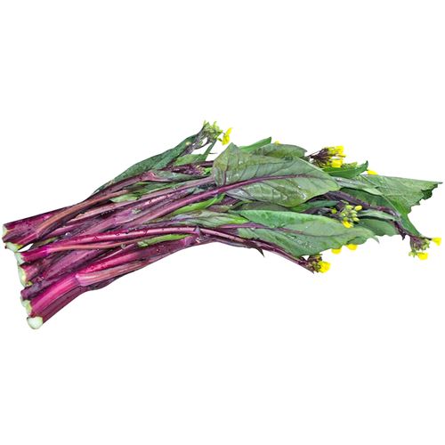 菜心6.jpg 菜心6.jpg